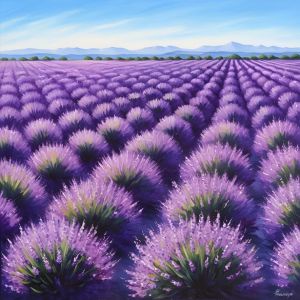 A moment of calm: A lavender field stretching out to the horizon with a clear blue sky.