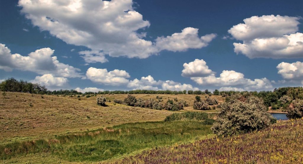 Rolling hills and wildflower meadow under a wide sky with soft clouds, a path of green winding between them toward distant trees and a glimpse of water.